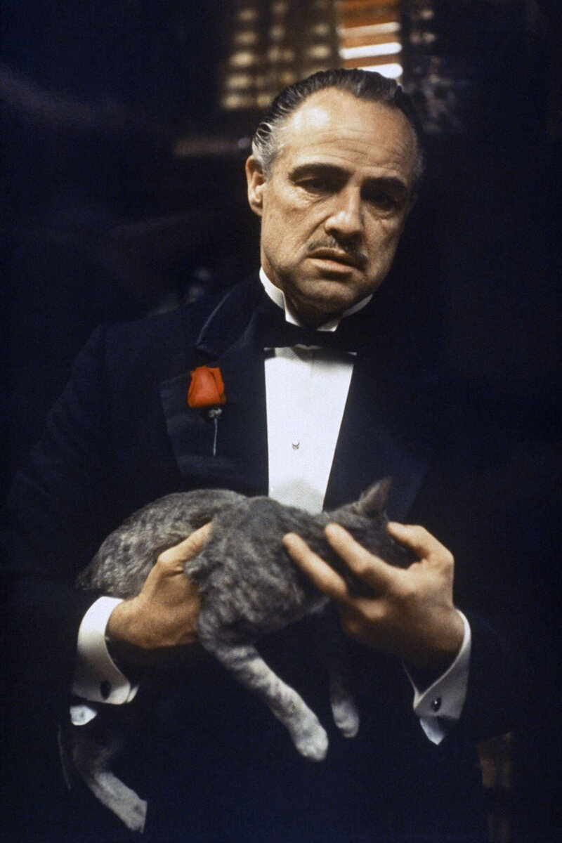 Аль пачино крестный отец 2. Крестный отец вито корлеоне. Суть крестного отца. Суть крестного отца. Аль пачино крестный отец.