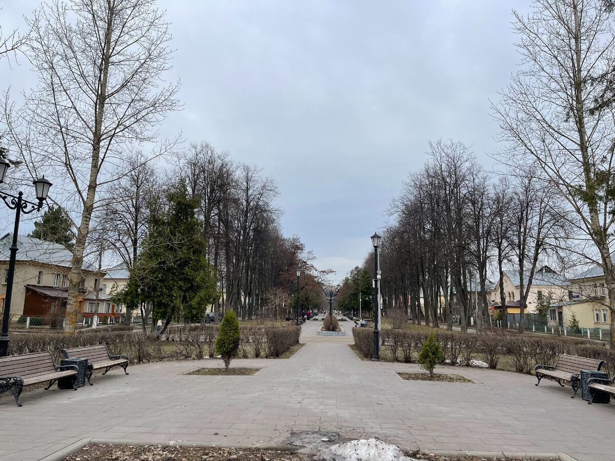 Парк. Фото: Елена Гросс