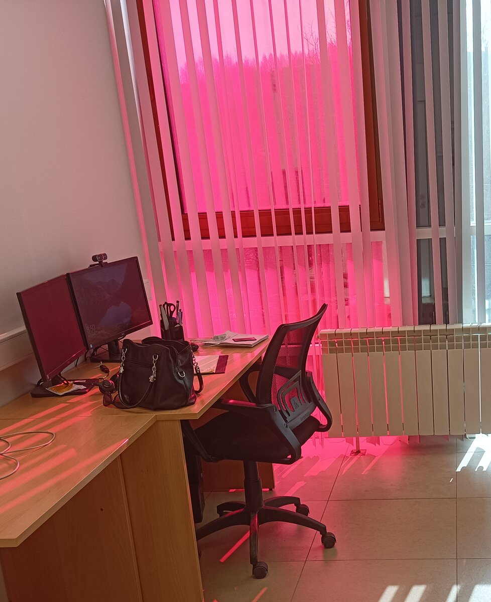 Моё рабочее место не бухгалтера🤣