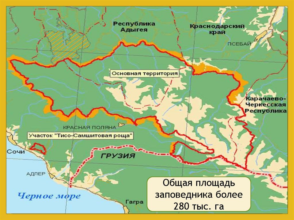 Сочи расположились. Кавказский биосферный заповедник на карте Краснодарского края. Кавказский государственный природный биосферный заповедник на карте. Где находится кавказский заповедник на карте Краснодарского края. Границы Кавказского заповедника на карте Краснодарского края.