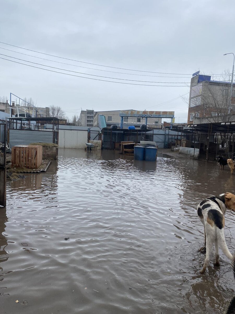 О море, море... 