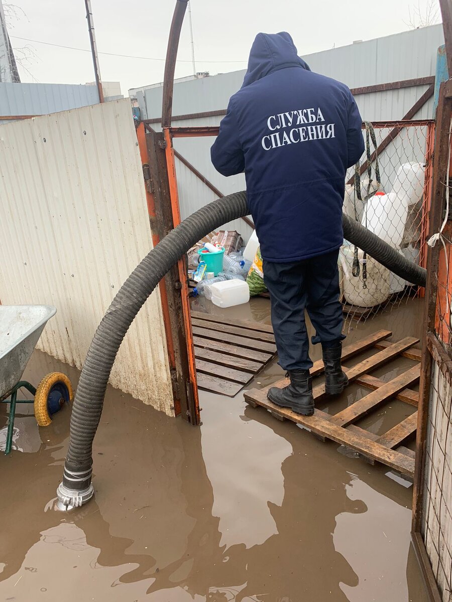 Первые помощники