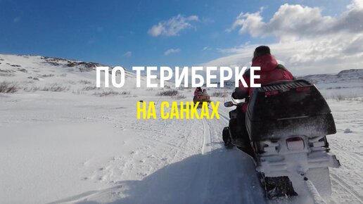 По Териберке на санках :)