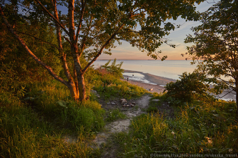 Финский залив на острове