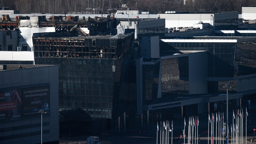    Фото: Dmitry Golubovich/Globallookpress