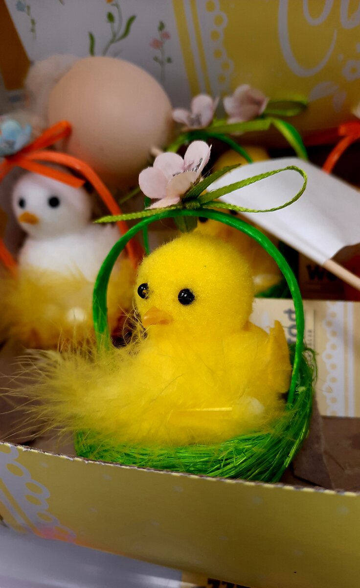 вот такой милый цыплёнок 🙈 прям просится его купить 😁😁
