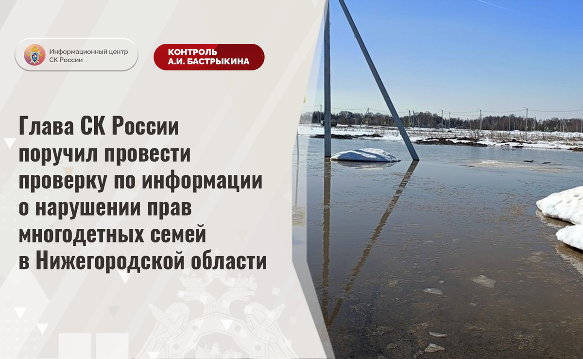 Глава СК России поручил провести проверку по информации о нарушении прав  многодетных семей в Нижегородской области | Информационный центр СК России  | Дзен