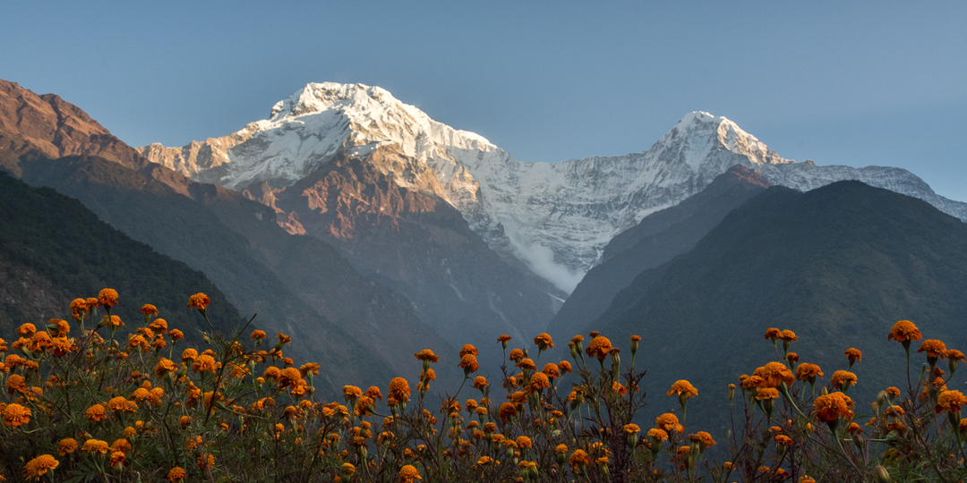 Как величественная и грозная Аннапурна была "приручена" и потеряла статус самой опасной горы?