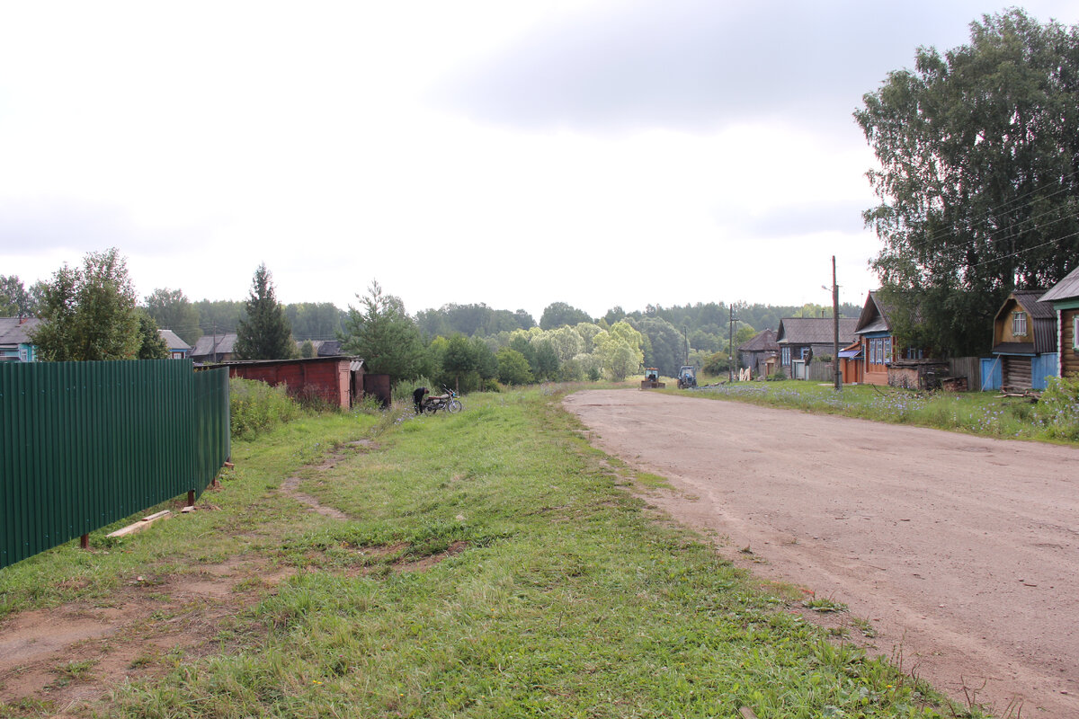 Лиса Наши дни