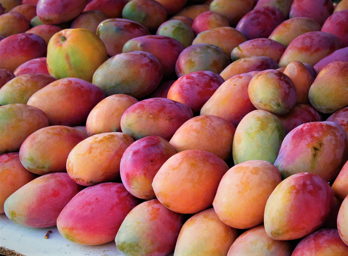 Как выбрать вкусный манго