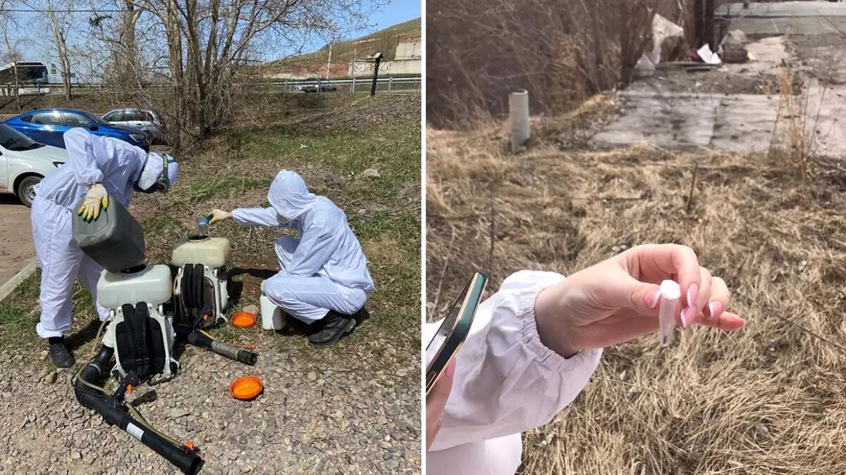     В Красноярске обработают 460 гектаров земли от клещей. Публикуем список мест.