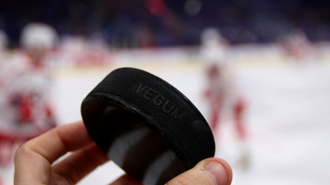    фото: Maksim Konstantinov/Globallookpress