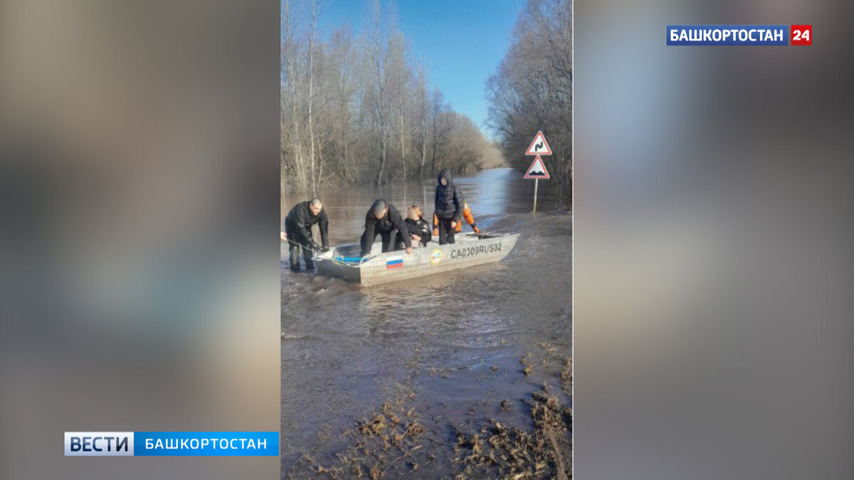 В Башкирии пассажиры смытой паводком машины дожидались помощи спасателей,  взобравшись на дерево | Башкортостан 24 | Дзен