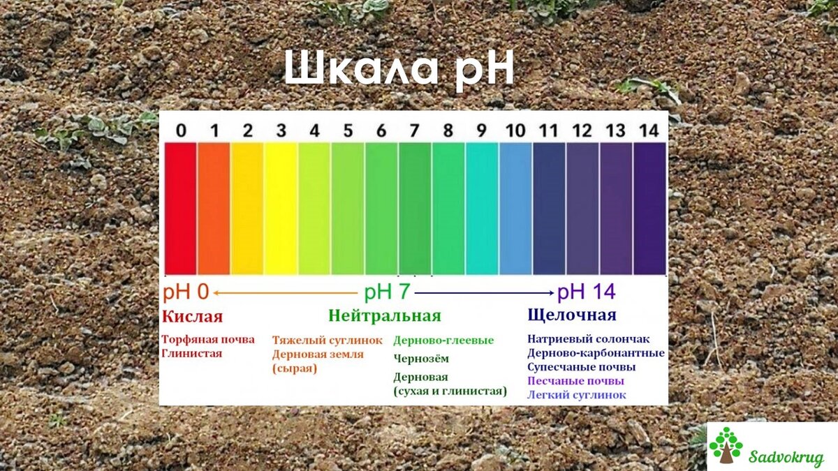 Шкала рН