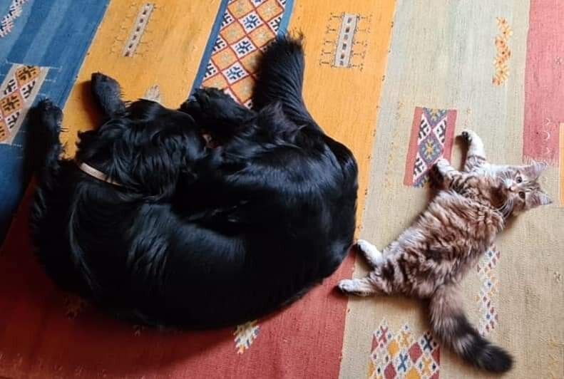-2