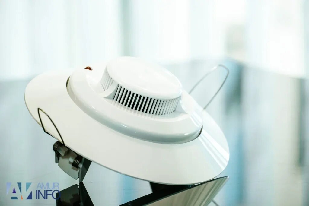    Фото: Амур.инфо