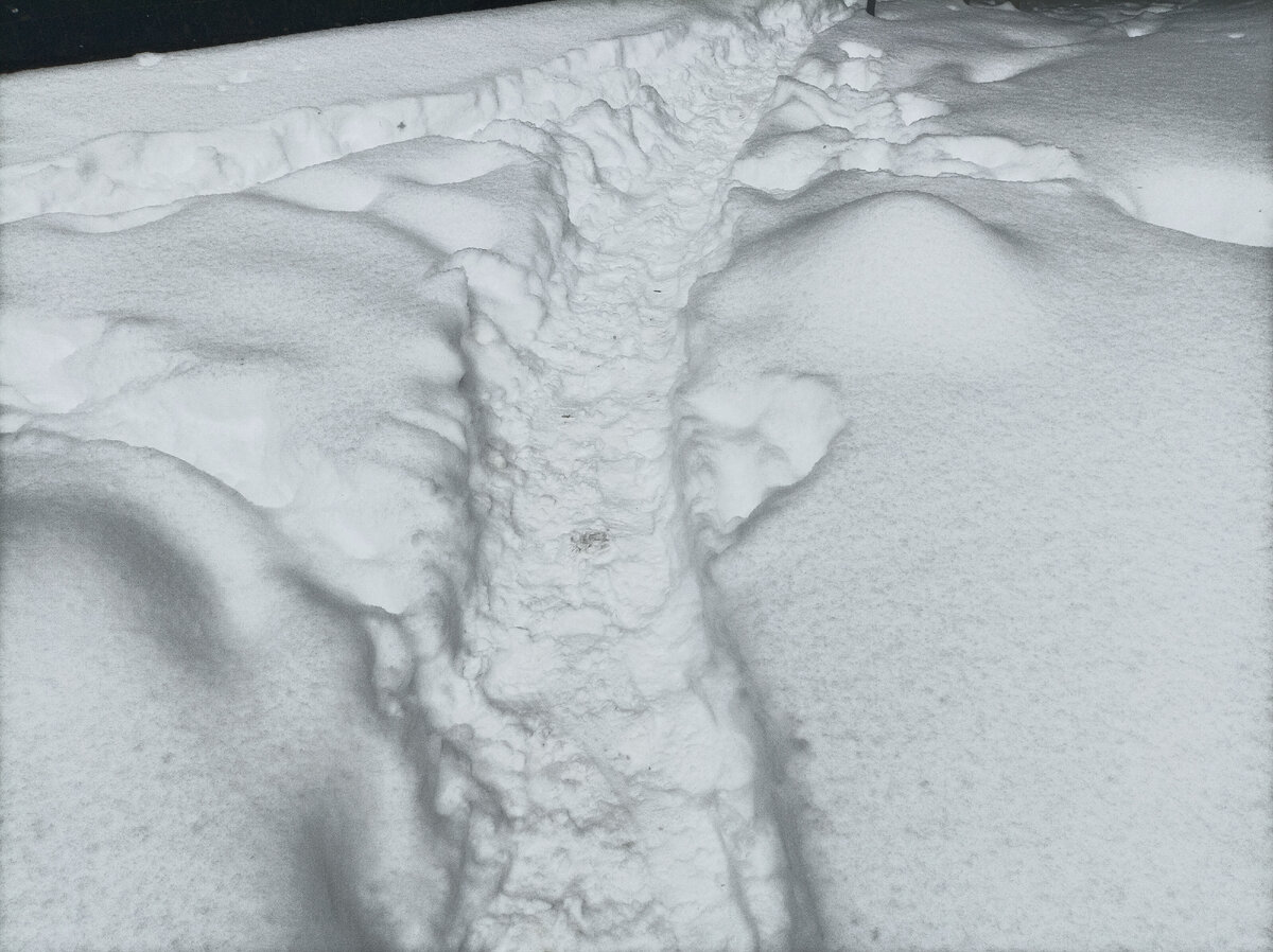 Наша утренняя дорога