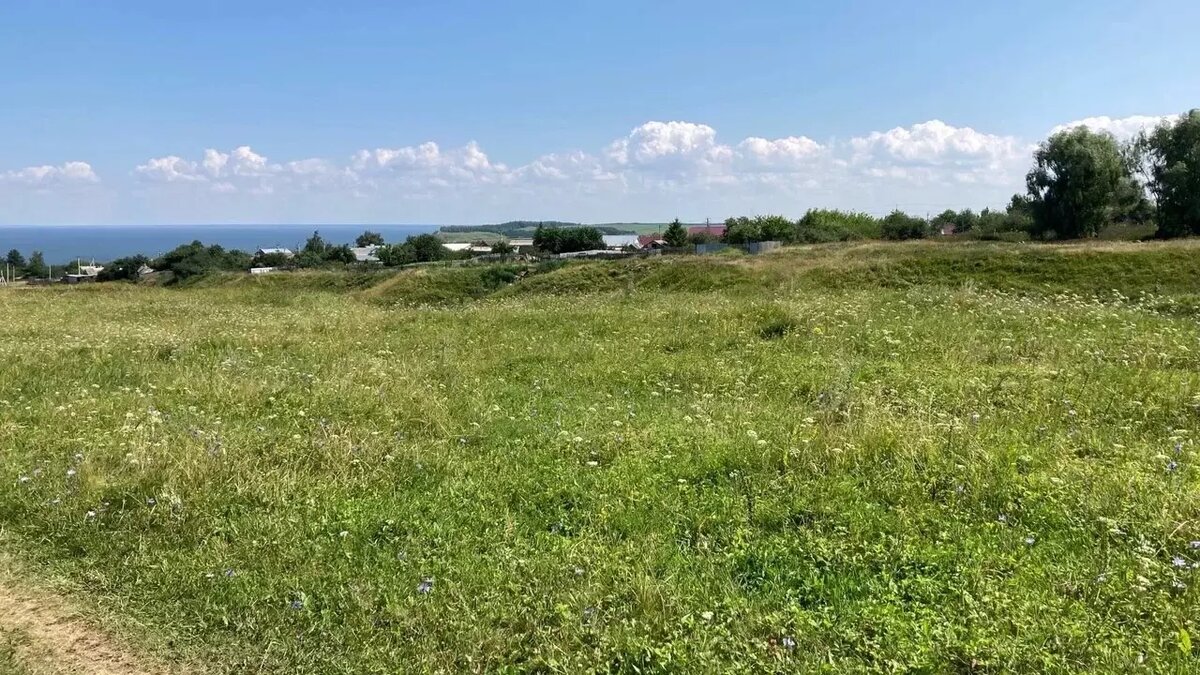     Правительство Татарстана решило забирать земельные участки у компаний и жителей республики. Все это делается ради реконструкции региональных дорог. Такие постановления подписал премьер-министр региона Алексей Песошин.