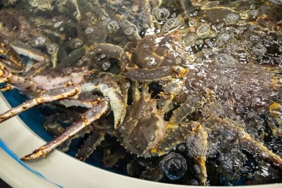     Фото: ГК «Антей»