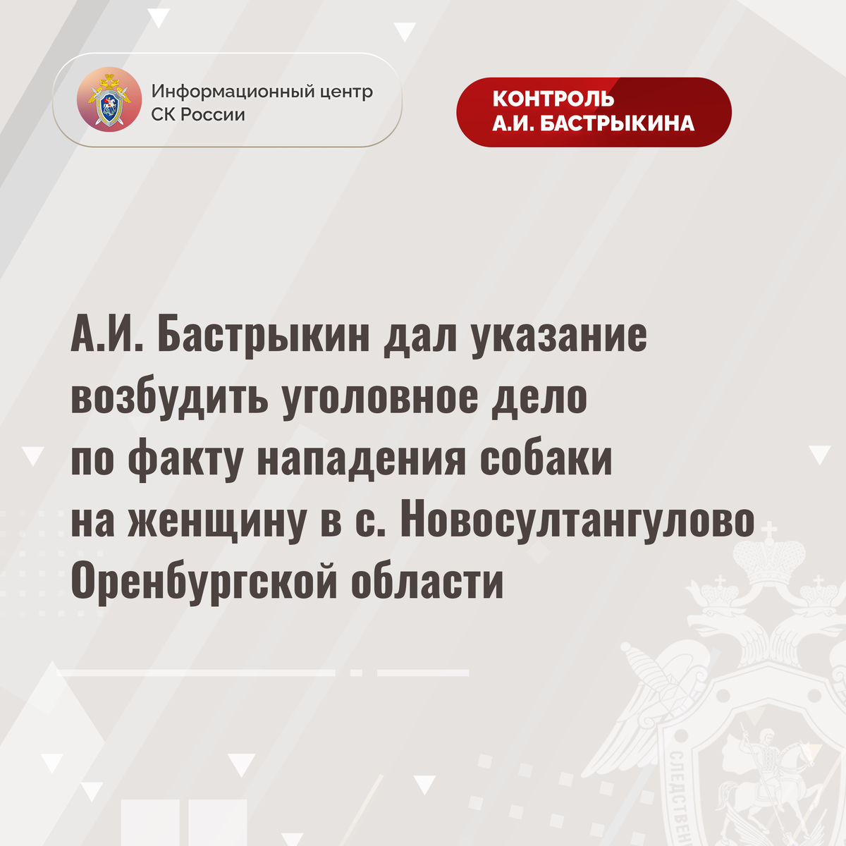 А.И. Бастрыкин дал указание возбудить уголовное дело по факту нападения  собаки на женщину в с. Новосултангулово Оренбургской области |  Информационный центр СК России | Дзен