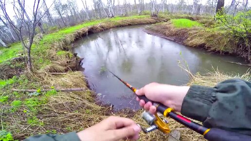 Ручей кишит рыбой! Ловля щуки на малых реках весной. Весенняя рыбалка на живописной лесной речке