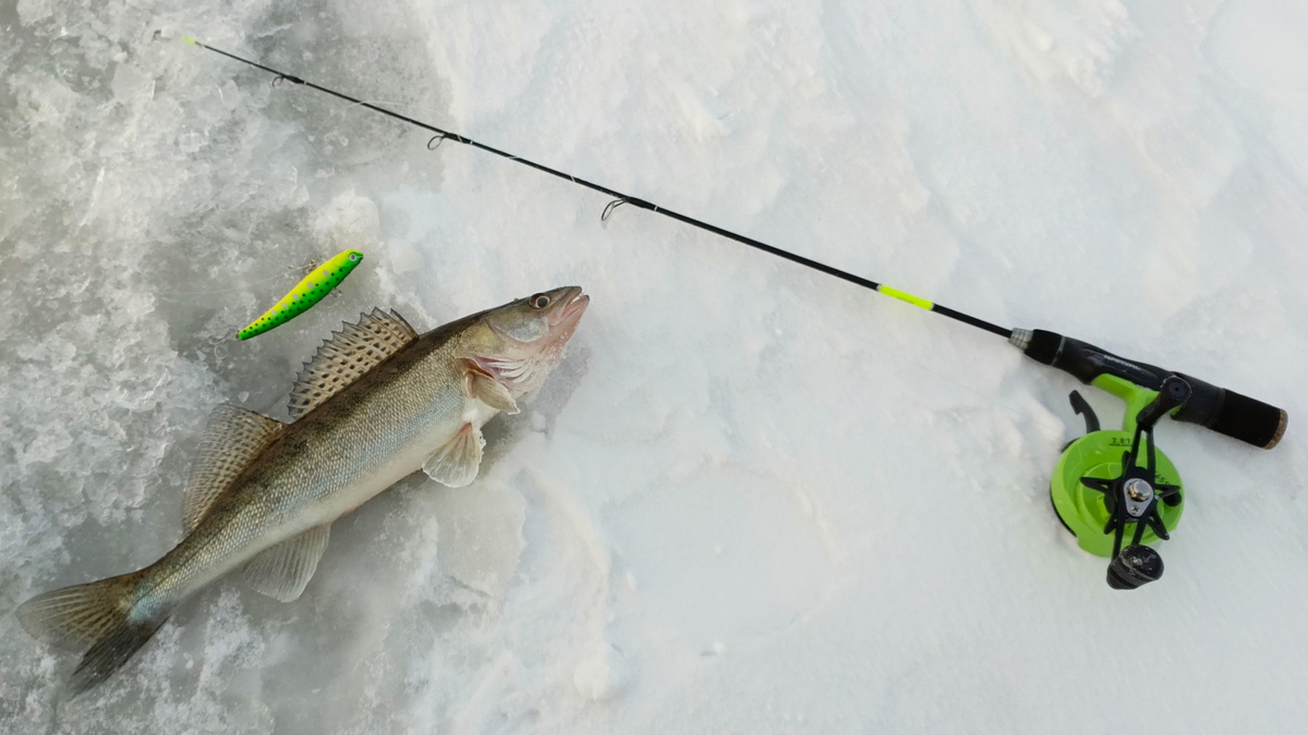 Удочка Нарвал Фрост ген 2, хлыст Н