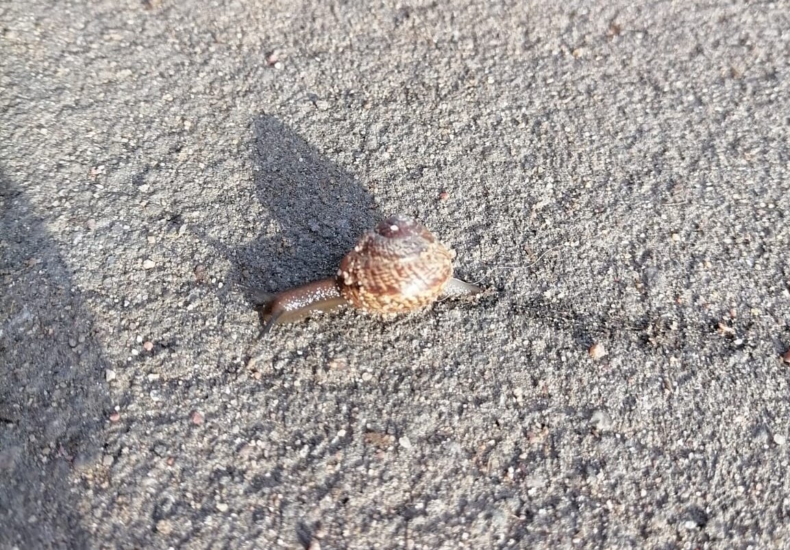 Фото супруга