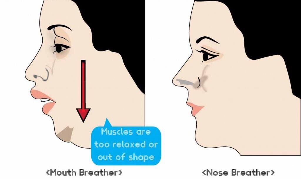 Одновременно дышать носом и ртом. Лицо людей которые дышат через рот. Дыхание носом. Человек который дышит ртом и носом. Лицо человека который дышит ртом.