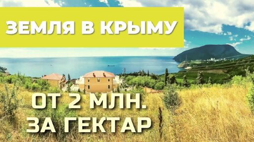 Недвижимость В КРЫМУ - или - выгодно ли вкладывать деньги в Крым ☀️ #недвижимостьвкрыму