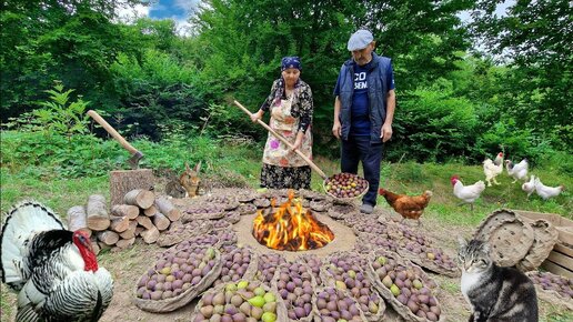 Сушим Фрукты по Старому Способу на Зиму. Очень Интересный Способ.