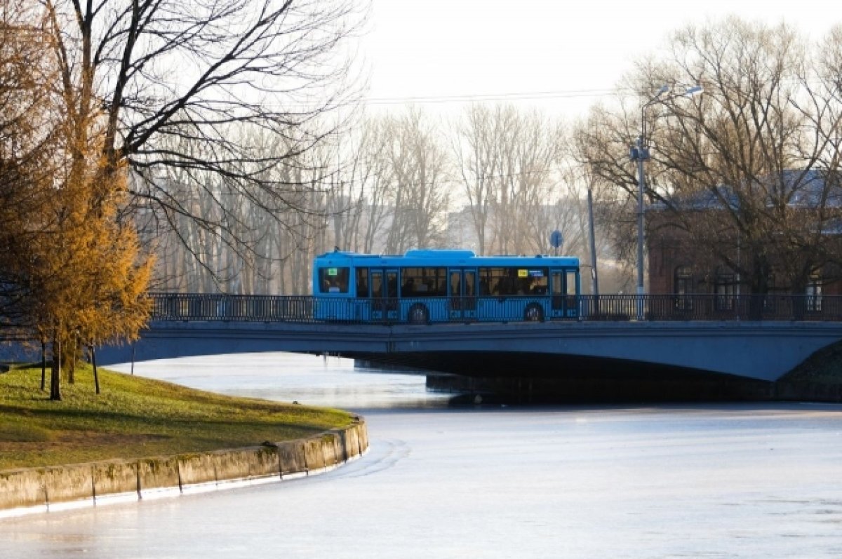    В Петербурге временно изменились маршруты нескольких автобусов