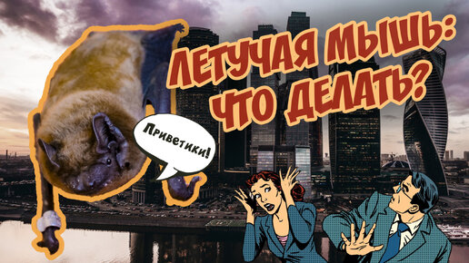 Что делать при ВСТРЕЧЕ С ЛЕТУЧЕЙ МЫШЬЮ? Краткая инструкция 🦇