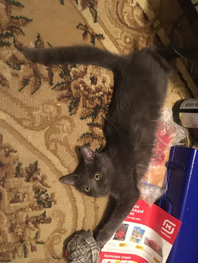 Листайте вправо, чтобы увидеть больше изображений