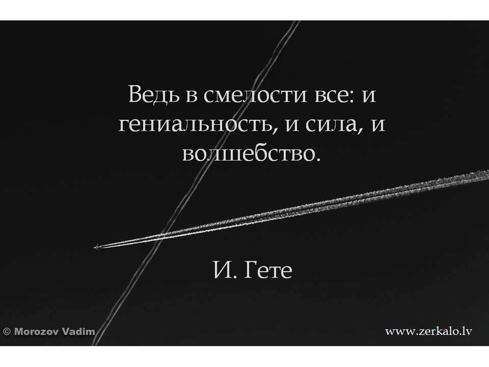 Яндекс Картинки.