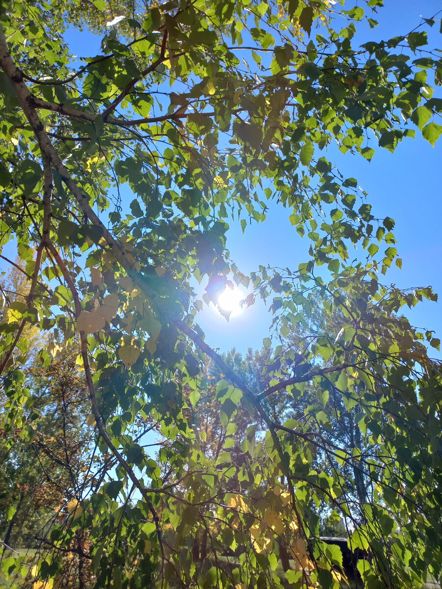 Человек в ожидании солнца 🌞 | Заметки многодетки | Дзен