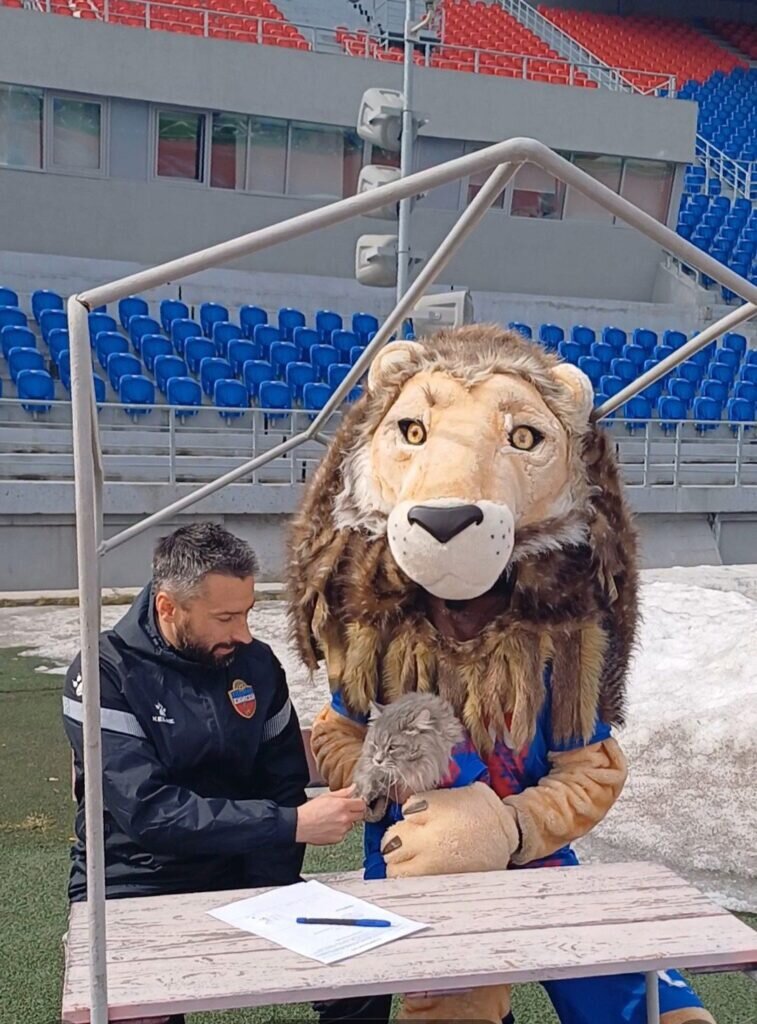 Фото приюта для кошек "Золотое сердце" / vk.com