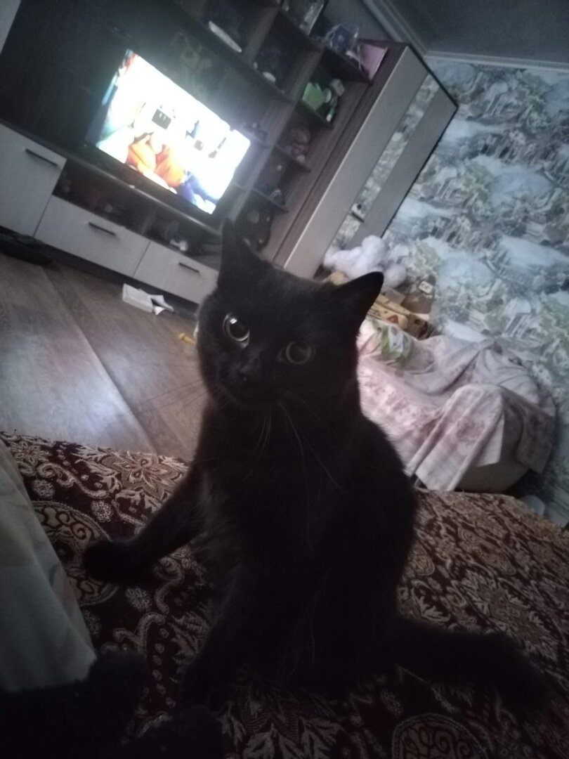 В новом доме