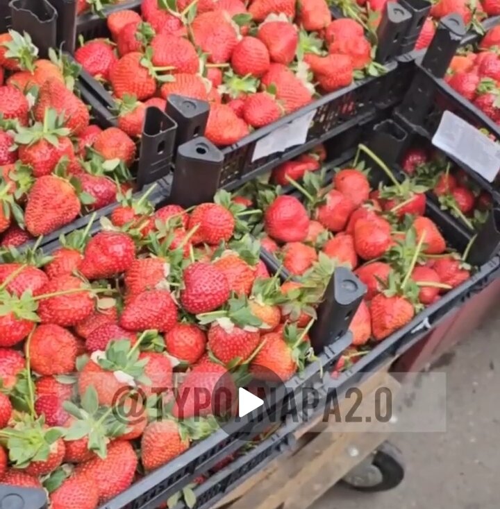 Скрин с видео из Телеграм-канала "Типичная Анапа"