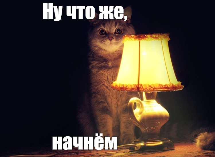 А куда без котиков?) 