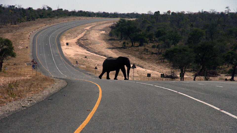 Фото: © TASS/AP Photo