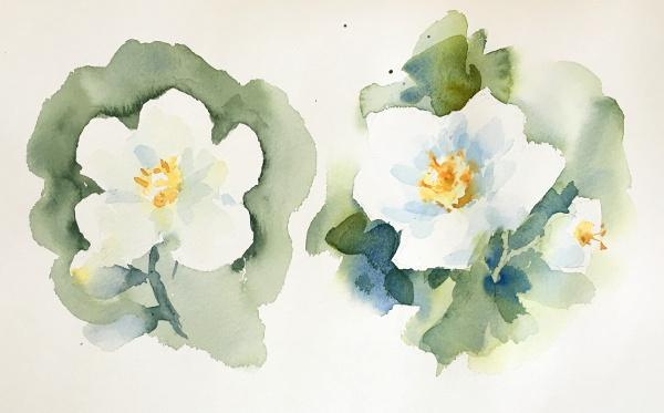 Источник фото: ya.ru