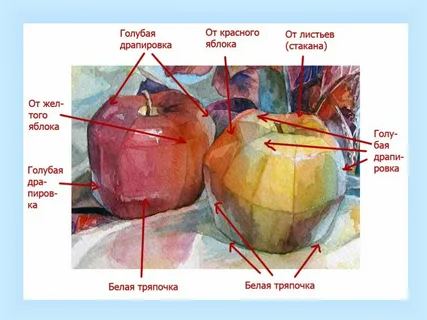 Источник фото: ya.ru