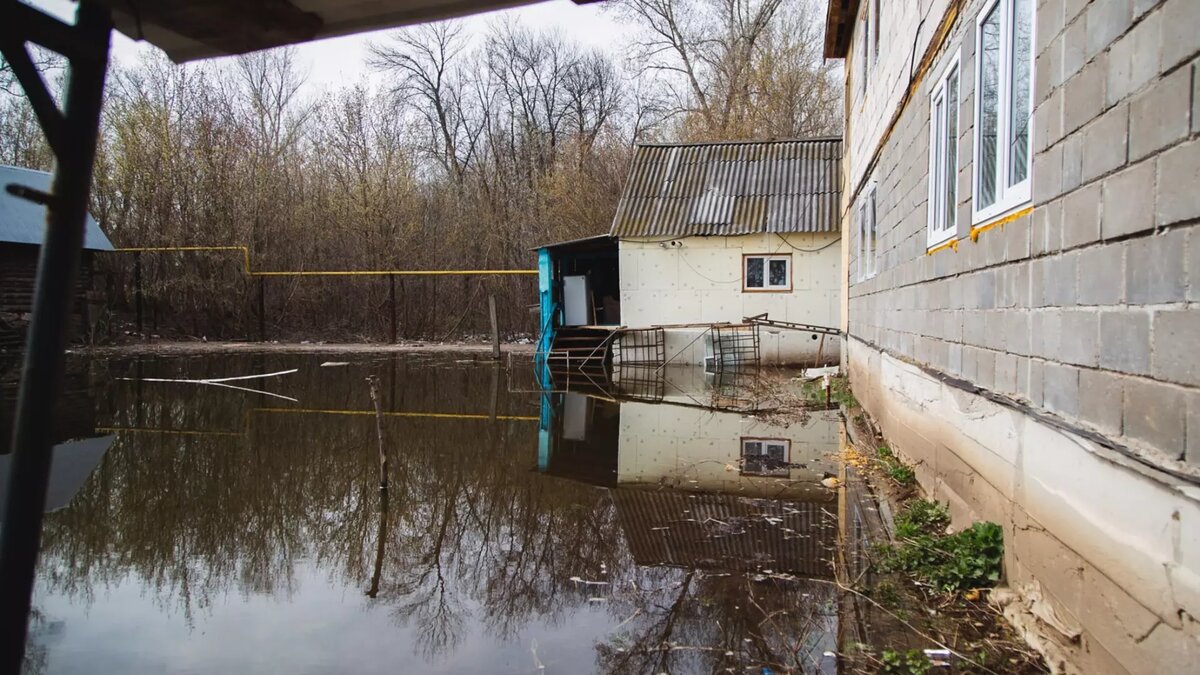 Вокруг вода! Нижегородцы оказались в западне | newsnn.ru | Дзен