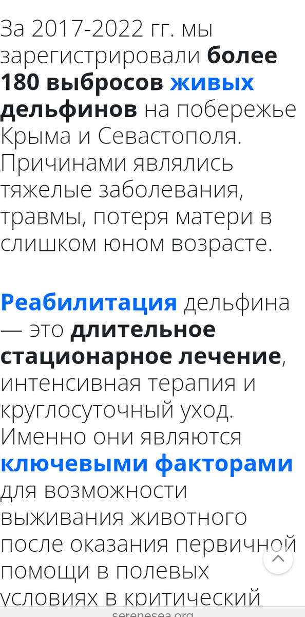 Скриншот с официального сайта