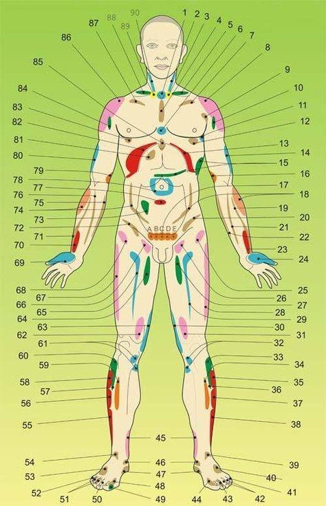 Что входит в целостный подход? 
Здесь имеет место рассказать о том, как лично я к этому пришла.
Ведь все, что я делаю и чем занимаюсь, это делаю для себя, в первую очередь. Мне важнО мое здоровье и важно качество собственной жизни. А при сбоях в организме качество жизни близится к нулю, или даже пробивает дно, превращаясь в жалкое существование (я была в той точке, поэтому и говорю об этом).

Около 6 лет назад я увидела на себе, как "лечение" традиционной медициной только усугубляло мое здоровье, и что по факту выздоровления у органов не происходит, а лишь добавляются диагнозы... (Одно лечишь, другое калечишь - это относится к лечению традиционной медицины, где направление идет на устранение/отрезание в одном конкретном органе сбоящем, а не в первопричине. И это говорит о полном отсутствии целостного подхода!!!)

Понятно, что узнавать по интернету в гугле о таких вещах глупо.
Поэтому я проходила различные обучения у специалистов.
Начала с системы вИдения - работу с телом через тонкий план.
Потом отучилась на тренера по натуральному омоложению и оздоровлению, выравниванию спины. После получения удостоверения на право заниматься этой деятельностью поняла, что бОльший  интерес у меня вызывает здоровая и ровная спина, чем молодость. Молодость - это скорее приятная побочка. Но она для меня не первостепенна! Молодость без здоровья невозможна!

После я повышала квалификацию. И одним из основных стало обучение на специалиста по висцеральной терапии. Вот там-то у меня дособралось ооочень много пазлов о целостном подходе. 

Следующим этапом было обучение на травничество у преподавателей РУДН и практических травников. 

Обучение дыханию по Бутейко.

Далее изучение психосоматических причин болезней.

И только следующим этапом стало менторство - где с помощью исцеления психики происходило выздоровление физического тела. 

Логичным перетеканием стало обучение на энергопрактика, потом на духовного наставника. 
И это лишь краткая часть о моих этапах.

Я до сих пор изучаю разные моменты, касающиеся здоровья. 
И сейчас углубляюсь еще больше в то, что уже изучила.