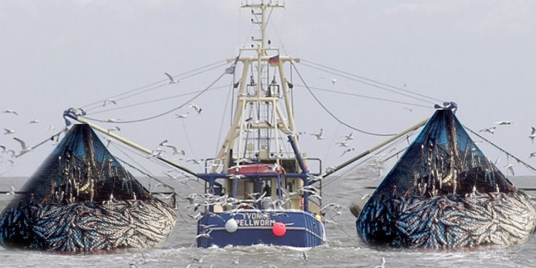 Охота без правил: как рыбаки Польши атаковали Охотское море во время распада СССР