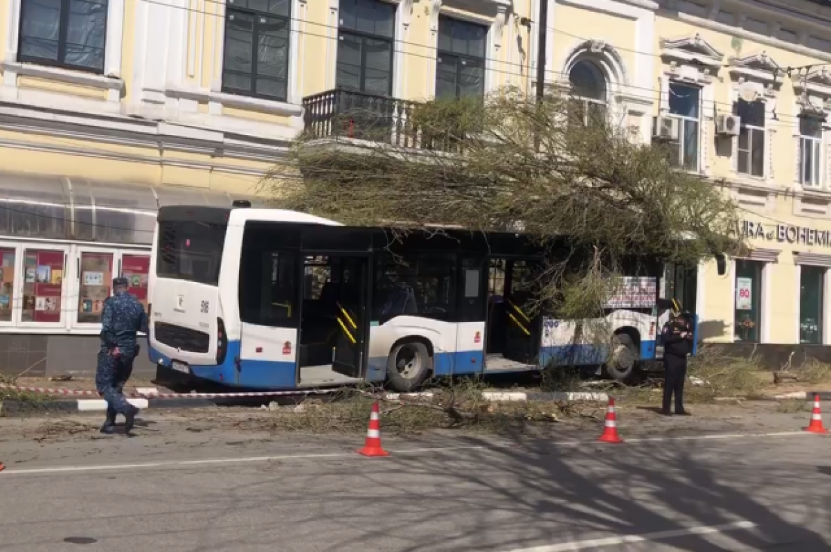 В центре Ростова новый автобус маршрута №98 врезался в дерево | АиФ Ростов  | Дзен