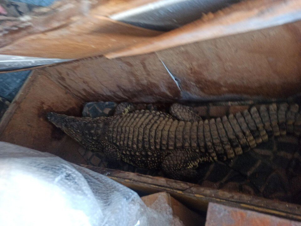    Фото: Россельхознадзор по Оренбургской области