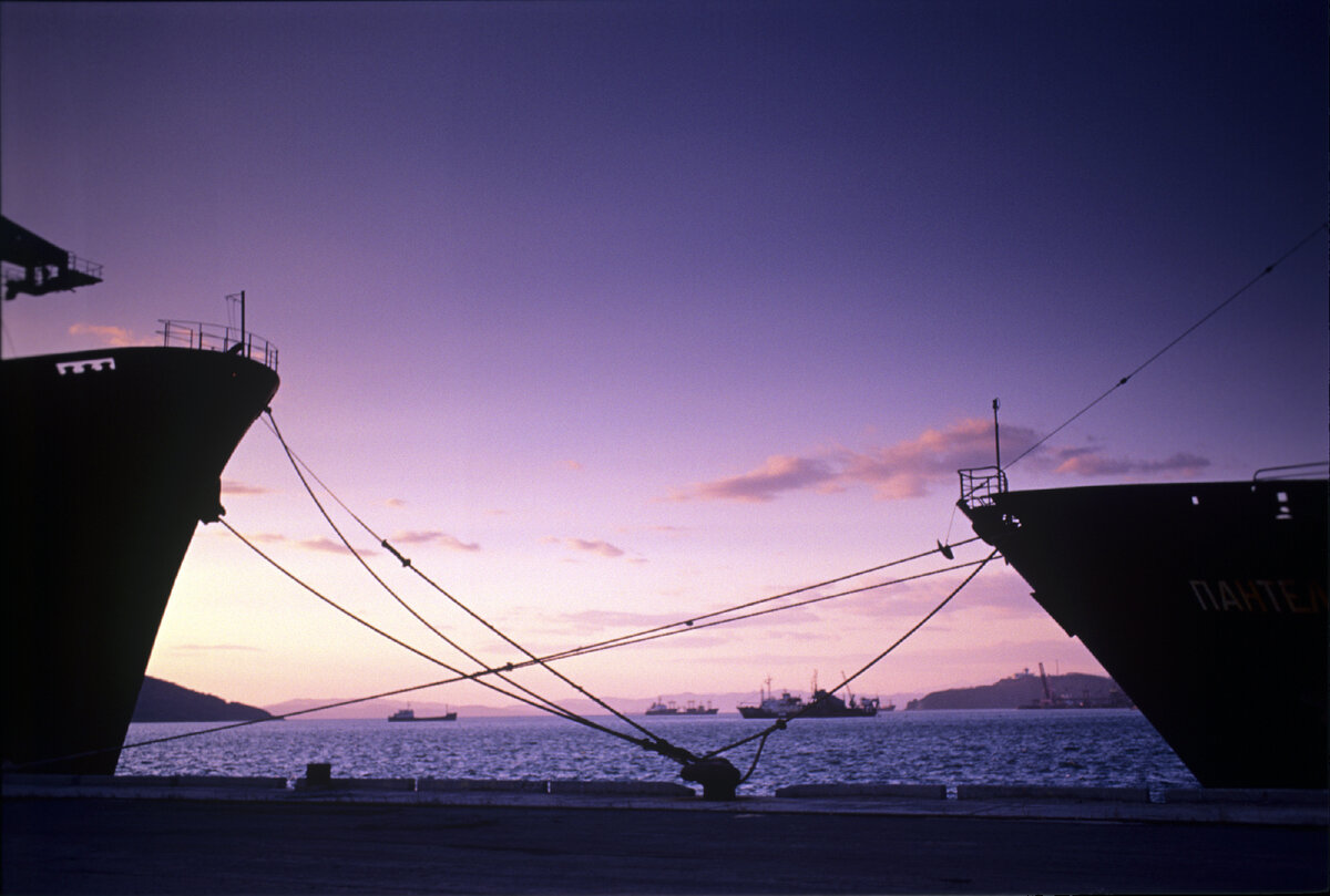 ФОТО: Leonid Dubeykovskyi/Russian Look/Global Look Press 