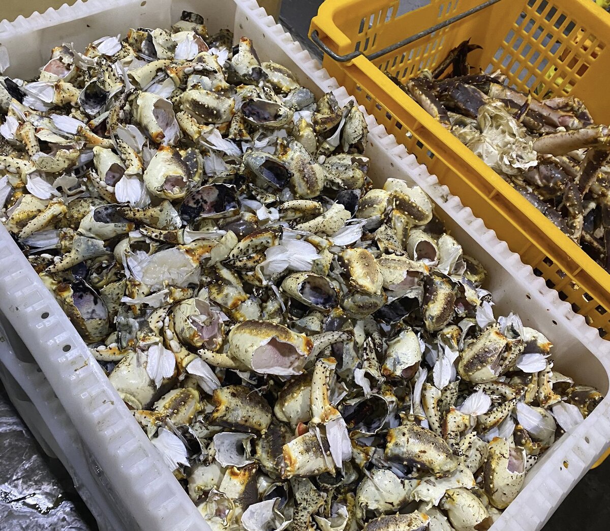 Измельченное сырье. 